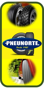 PNEUNORTE SERVIÇOS